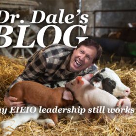 dr dale old macdonald